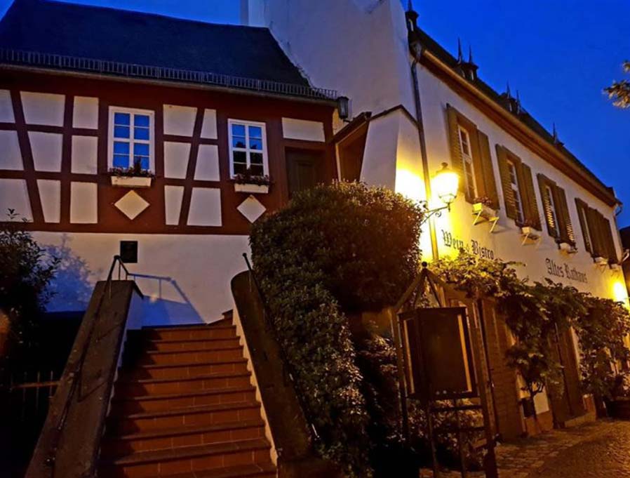 Ostrich Winkel Germany